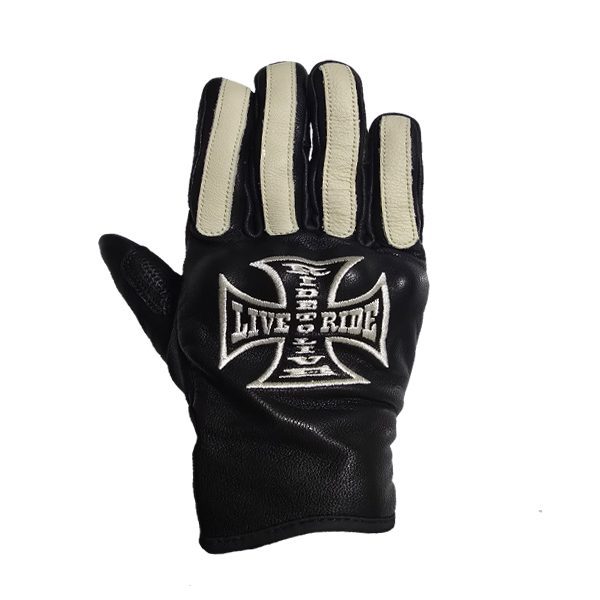 Daisy on the Ohoopee